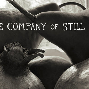 In The Company of Still Life