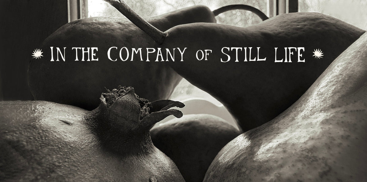 In The Company of Still Life