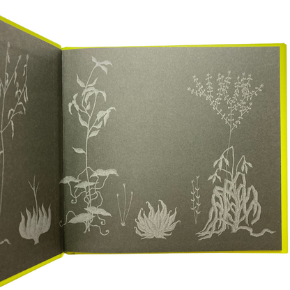 Edward Gorey book illustration with whimsical white plants on dark paper, The Edward Gorey Online Shop