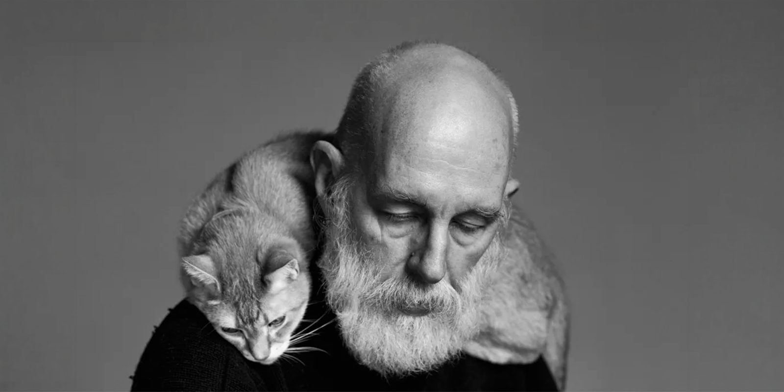 The Edward Gorey Online Shop